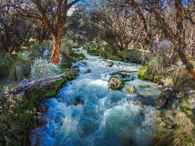 River at start of the trail