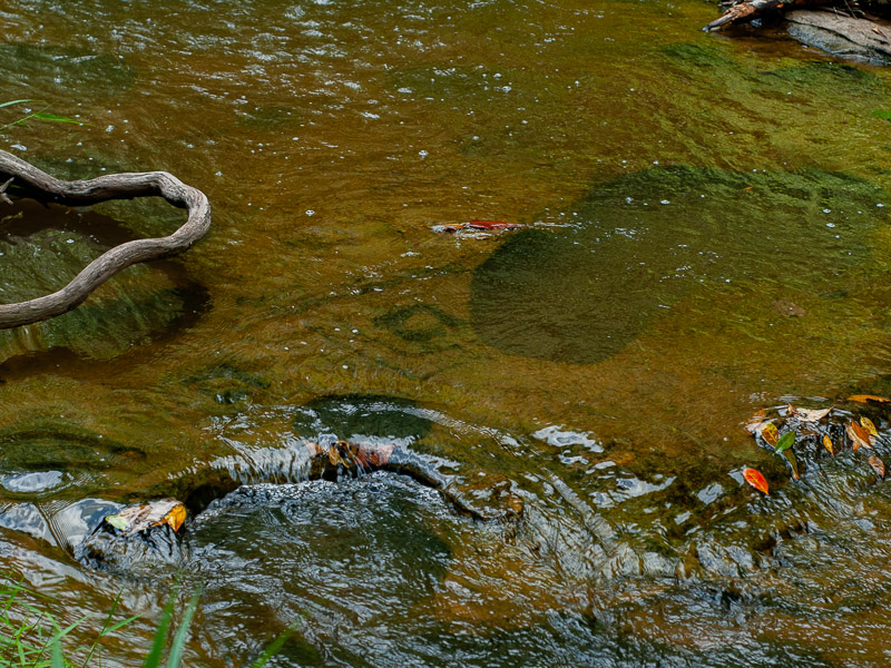 Tiles carved into the stream's bedrock